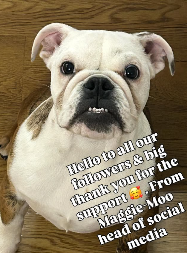 maggie 2025-12-05 105209